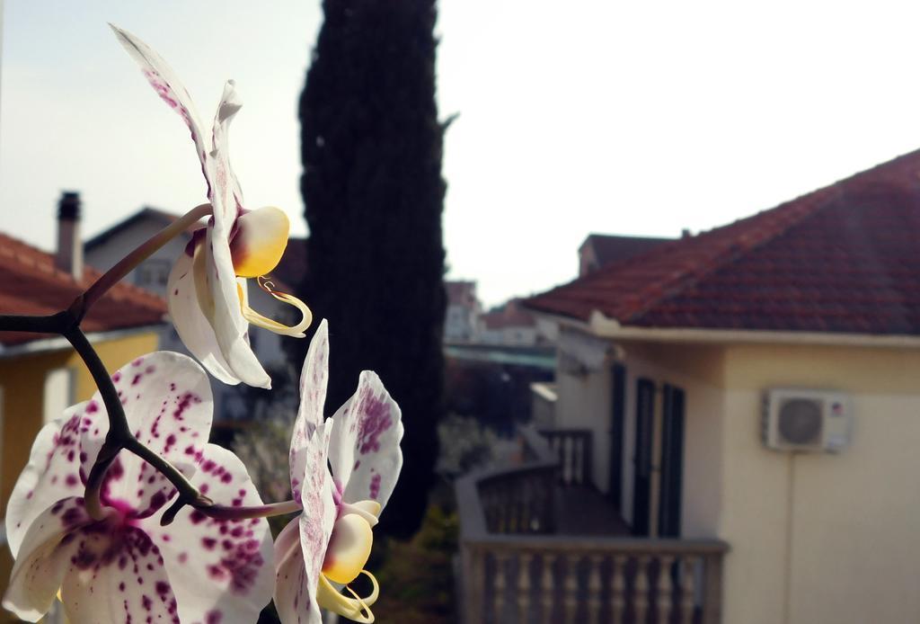 Luciana Apartment Zadar Ngoại thất bức ảnh