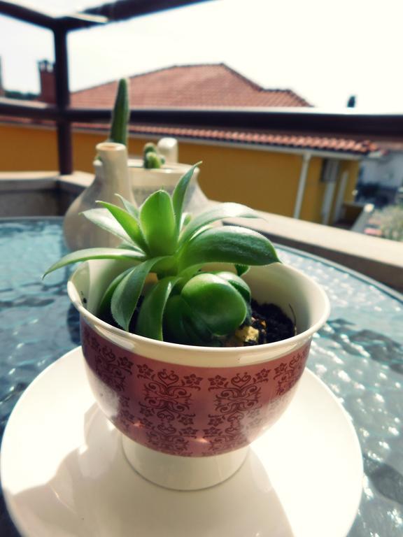 Luciana Apartment Zadar Ngoại thất bức ảnh