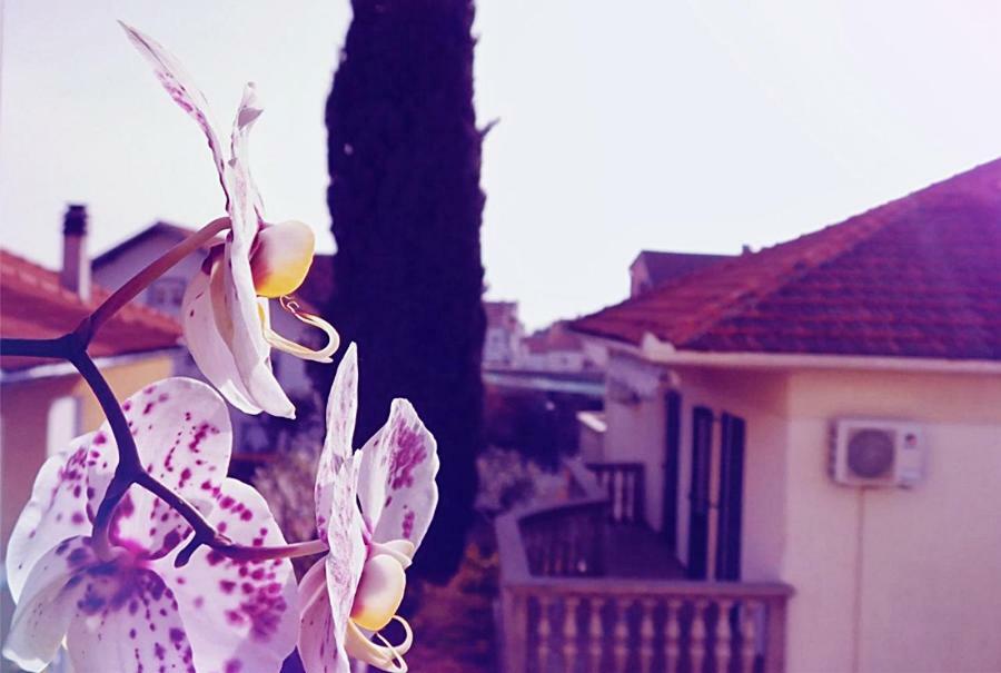 Luciana Apartment Zadar Ngoại thất bức ảnh
