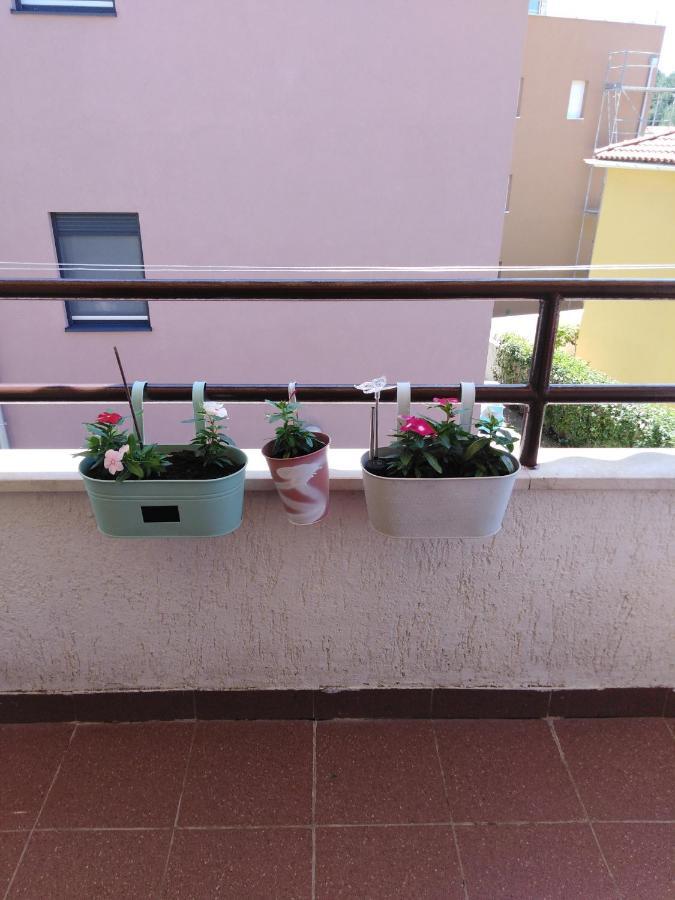 Luciana Apartment Zadar Ngoại thất bức ảnh
